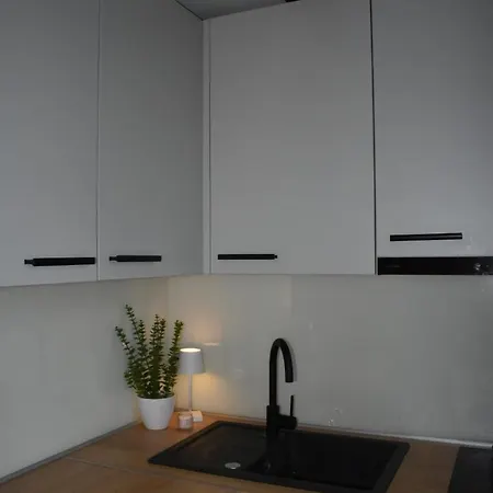 2025 New Modern Family House Terme Catez 1&2 Catez ob Savi