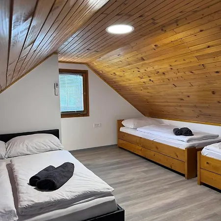 2025 New Modern Family House Terme Catez 1&2 * Catez ob Savi