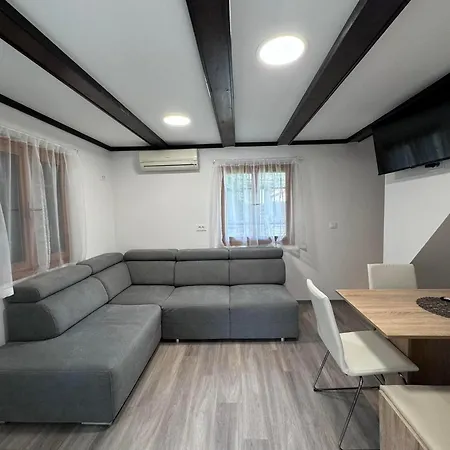 Apartment 2025 New Modern Family House Terme Catez 1&2
