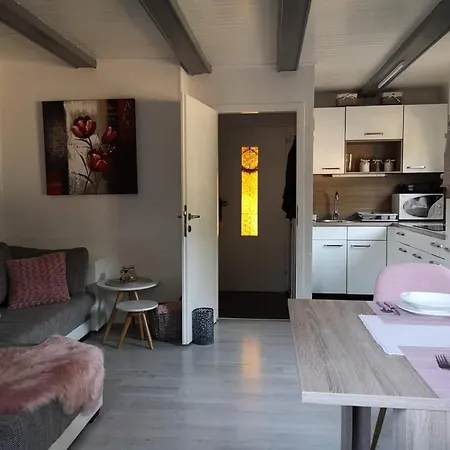 2025 New Modern Family House Terme Catez 1&2 * Catez ob Savi